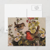 Vintage Lente Roodborst Zangvogels Botanische Bloe Briefkaart (Voorkant / Achterkant)