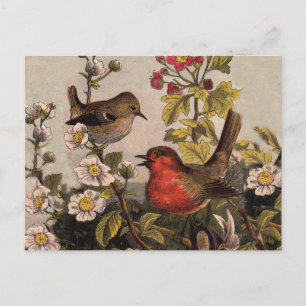 Vintage Lente Roodborst Zangvogels Botanische Bloe Briefkaart