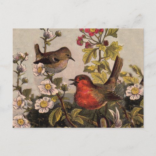 Vintage Lente Roodborst Zangvogels Botanische Bloe Briefkaart (Voorkant)