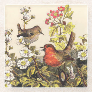 Vintage Lente Roodborst Zangvogels Botanische Bloe Glazen Onderzetter