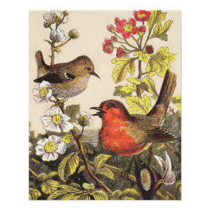 Vintage Lente Roodborst Zangvogels Botanische Bloe Poster