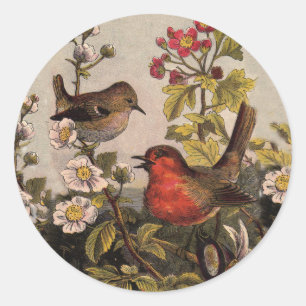 Vintage Lente Roodborst Zangvogels Botanische Bloe Ronde Sticker