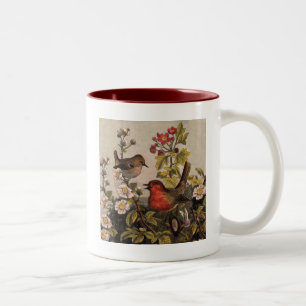 Vintage Lente Roodborst Zangvogels Botanische Bloe Tweekleurige Koffiemok