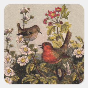 Vintage Lente Roodborst Zangvogels Botanische Bloe Vierkante Sticker
