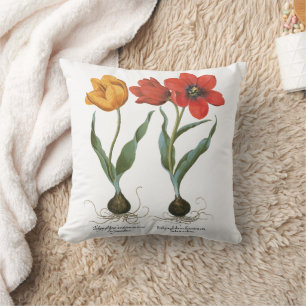 Vintage Lente Tulpen Bloemen door Basilius Besler Kussen