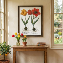 Vintage lente tulpenbloemen door Basilius Besler