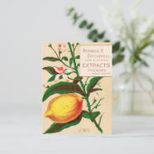 VINTAGE : levensmiddelen adverteren - Briefkaart (Staand voorkant)