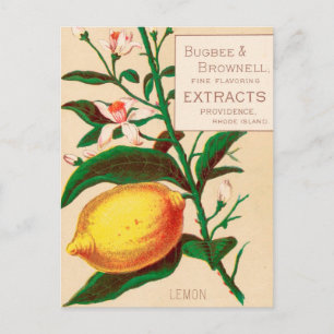 Vintage : levensmiddelen adverteren - briefkaart