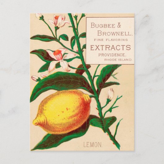 VINTAGE : levensmiddelen adverteren - Briefkaart (Voorkant)