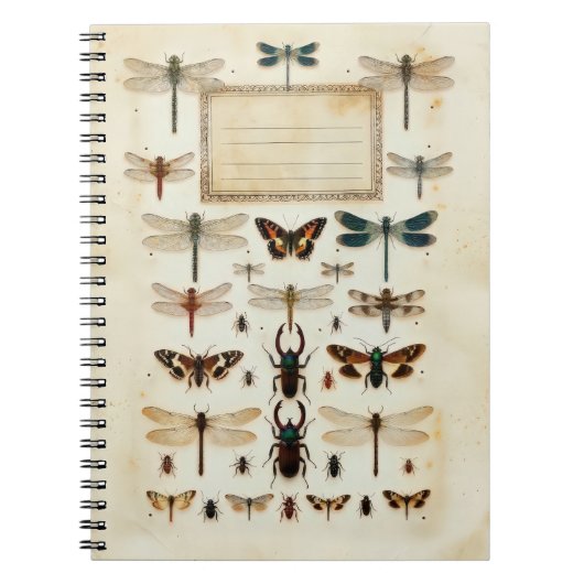 Vintage Libelle Kever Taxonomie Exemplaar Grafiek Notitieboek (Voorkant)
