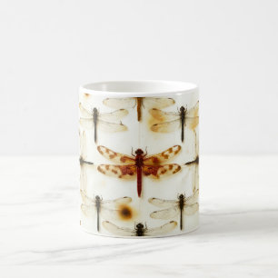 Vintage Libelle Tuin Libellen Bugs Insecten Koffiemok