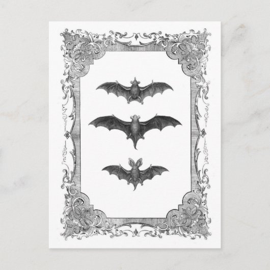 Vintage Lijst Halloween Briefkaart (Voorkant)