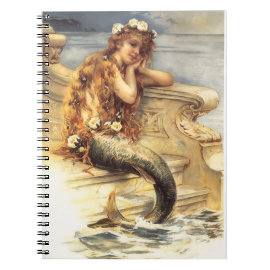 Vintage Little Mermaid Notitieboek (Voorkant)