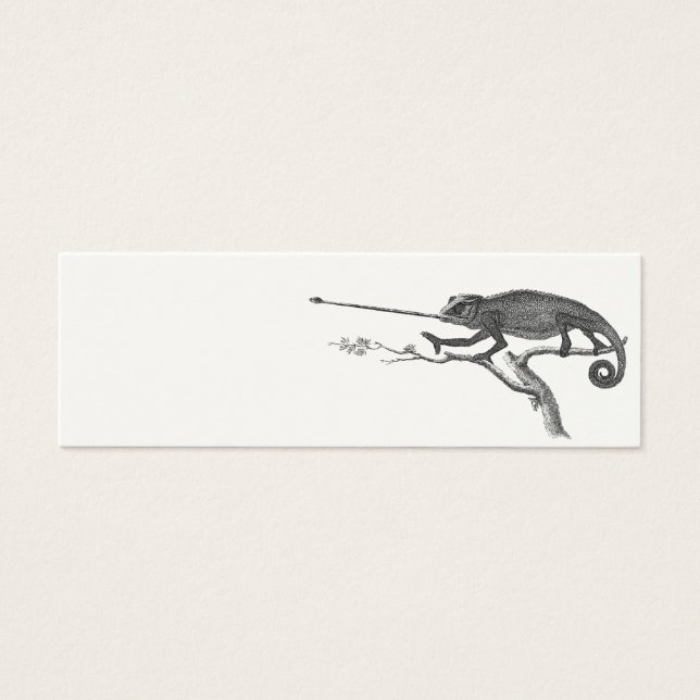 Vintage Lizard Chameleon Illustration Sjabloon Mini Visitekaartjes (Voorkant)