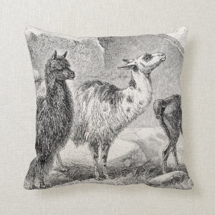 Vintage Llama Alpaca Sjabloon Llamas Alpacas Kussen