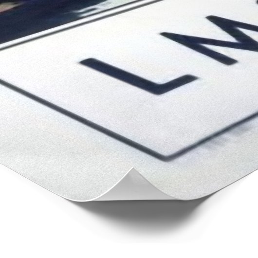 Vintage Loch Lomond Scotland Travel Poster (Hoek)