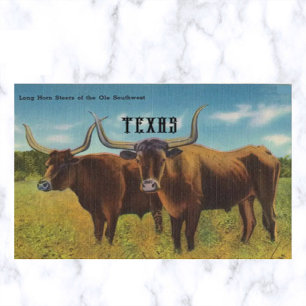 Vintage Long Horn Steers San Antonio Texas Briefkaart