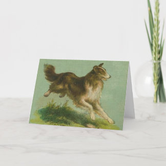 Vintage Lopende Collie notecard Kaart