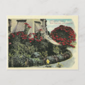 Vintage Los Angeles Californië Briefkaart (Voorkant)