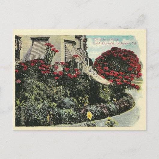 Vintage Los Angeles Californië Briefkaart (Voorkant)