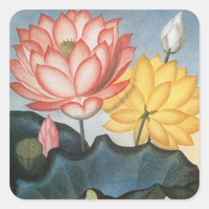 Vintage Lotusbloemen, De Heilige Egyptische Boon Vierkante Sticker