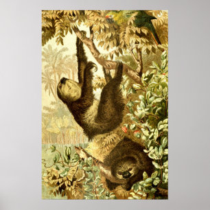 Vintage luiaards en papegaai in jungle poster