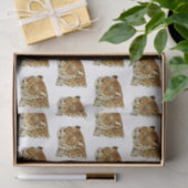 Vintage Luipaard Jachtluipaard Gevlekt Kattenkop Tissuepapier (Geschenk)