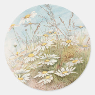 Vintage Madeliefjes in een veld Pasen kaart Ronde Sticker