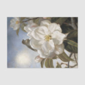 Vintage Magnolia Bloesem Decoupage Tissuepapier (Voorkant)