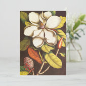 Vintage Magnolia Flowers Plant met zaad (Staand voorkant)