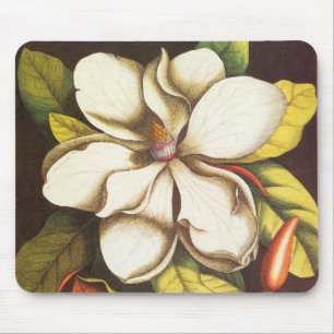Vintage Magnolia Flowers Plant met zaad Muismat