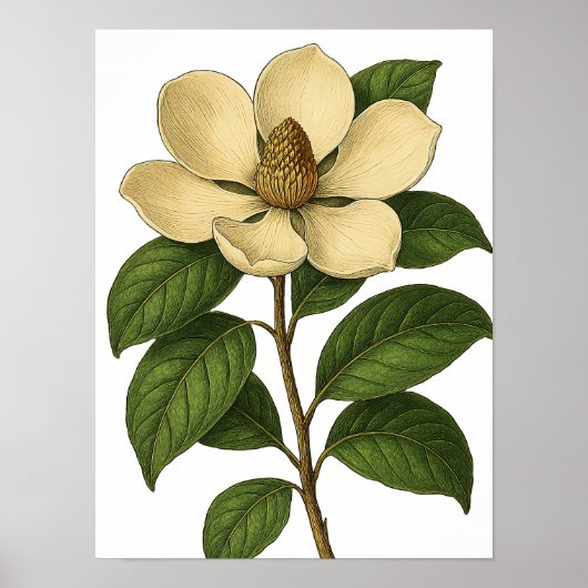 Vintage Magnolia Poster (Voorkant)