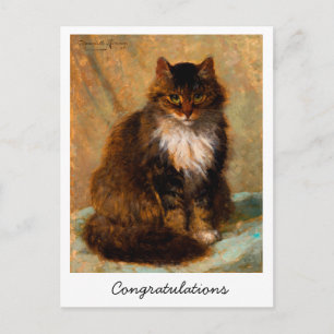 Vintage Maine Coon Kat Congratulaties          Briefkaart