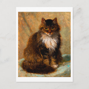 Vintage Maine Coon Kat Fijn Kunst Portret Briefkaart