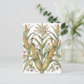 Vintage Maïskolf Botanisch Briefkaart (Staand voorkant)
