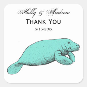 Vintage Manatee Tekening Aqua Vierkante Sticker