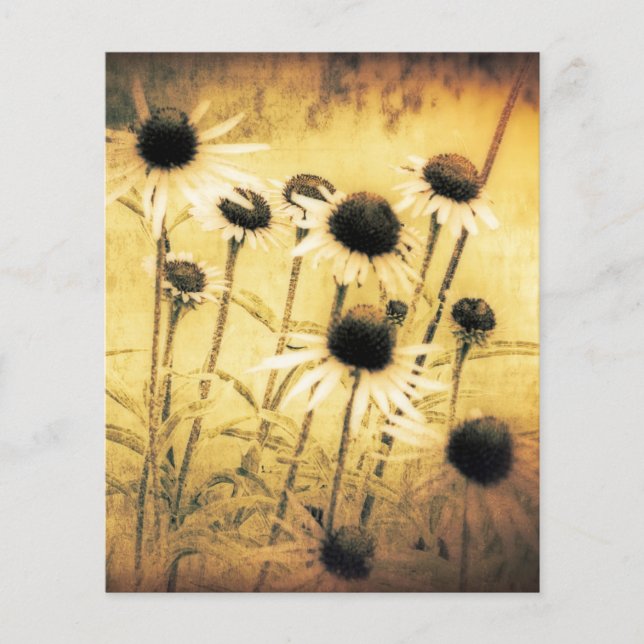 Vintage margrieten (Voorkant)