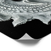 Vintage Marine Life Illustration Poster (Hoek)