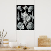 Vintage Marine Life Illustration Poster (Keuken)