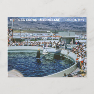 Vintage Marineland Florida Briefkaart
