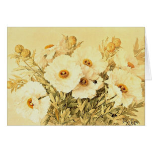 Vintage Matilija Poppies