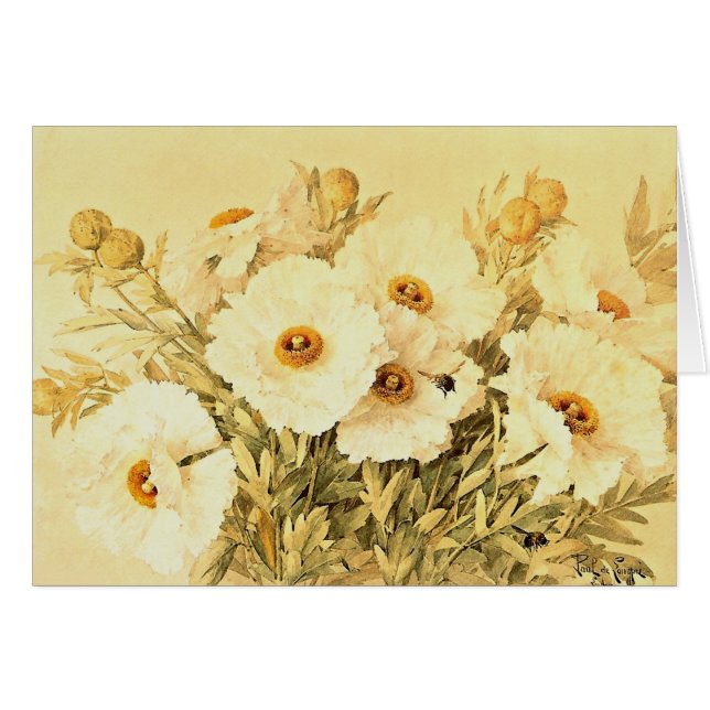 Vintage Matilija Poppies (Voorkant Horizontaal)