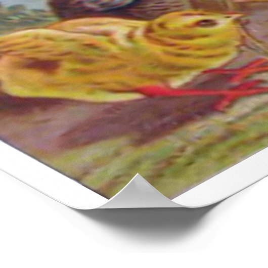 Vintage Medicine Poster (Hoek)