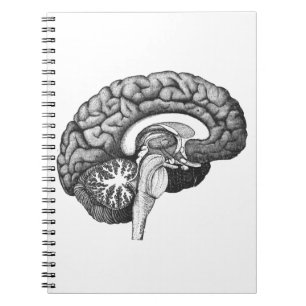 Vintage medische anatomie illustratie menselijk br notitieboek