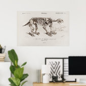 Vintage Megatherium Illustration Poster (Thuiskantoor)