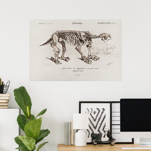 Vintage Megatherium Illustration Poster (Thuiskantoor)