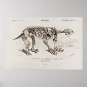 Vintage Megatherium Illustration Poster (Voorkant)