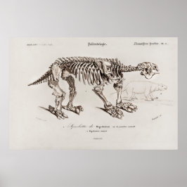 Vintage Megatherium Illustration Poster