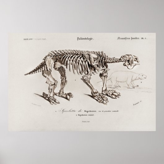 Vintage Megatherium Illustration Poster (Voorkant)