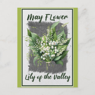 Vintage Meizoentje Lelietje-van-dalen bloemstuk  Briefkaart